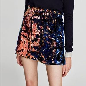 Zara Velvet Sequin Skirt